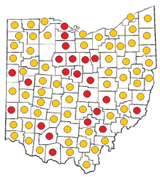 mapmaccpul